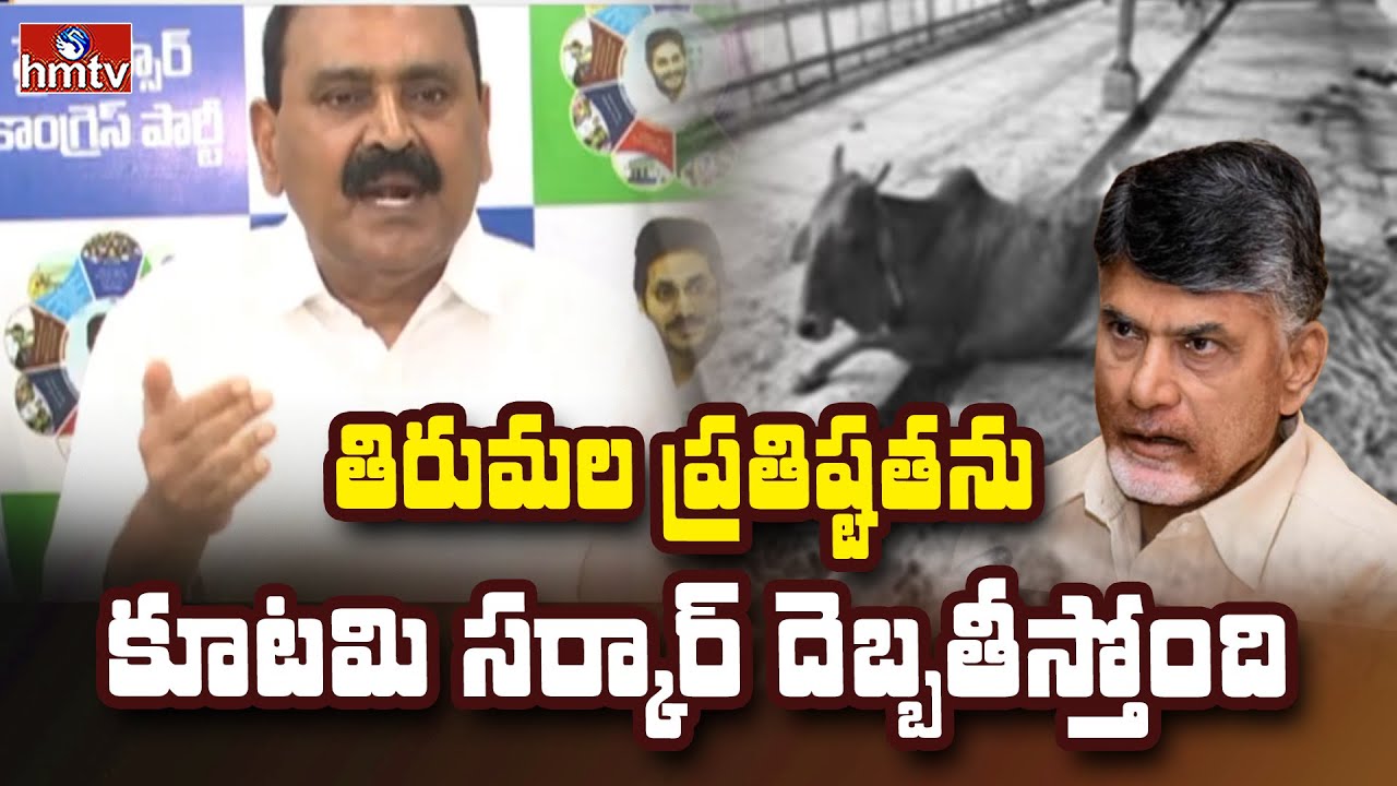 Bhumana Karunakar Reddy Serious Comments on TTD Goshala Issue | hmtv