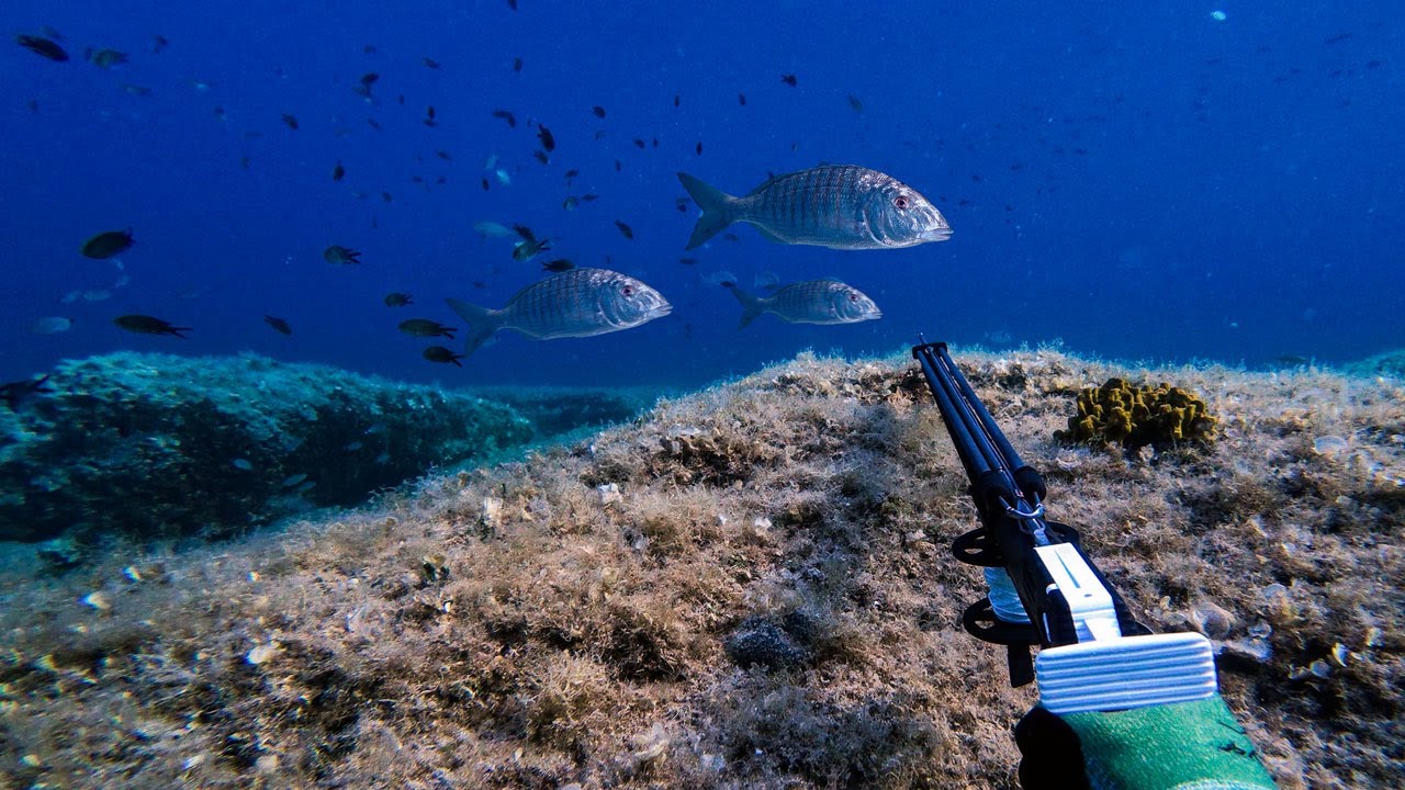 Rough Windy Week - Spearfishing Croatia August 2025 4K 🇭🇷