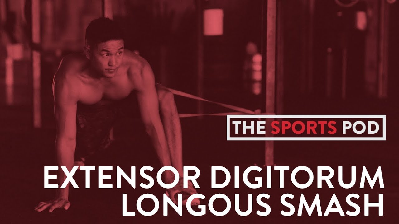 SP | SMASH | EXTENSOR DIGITORUM LONGUS