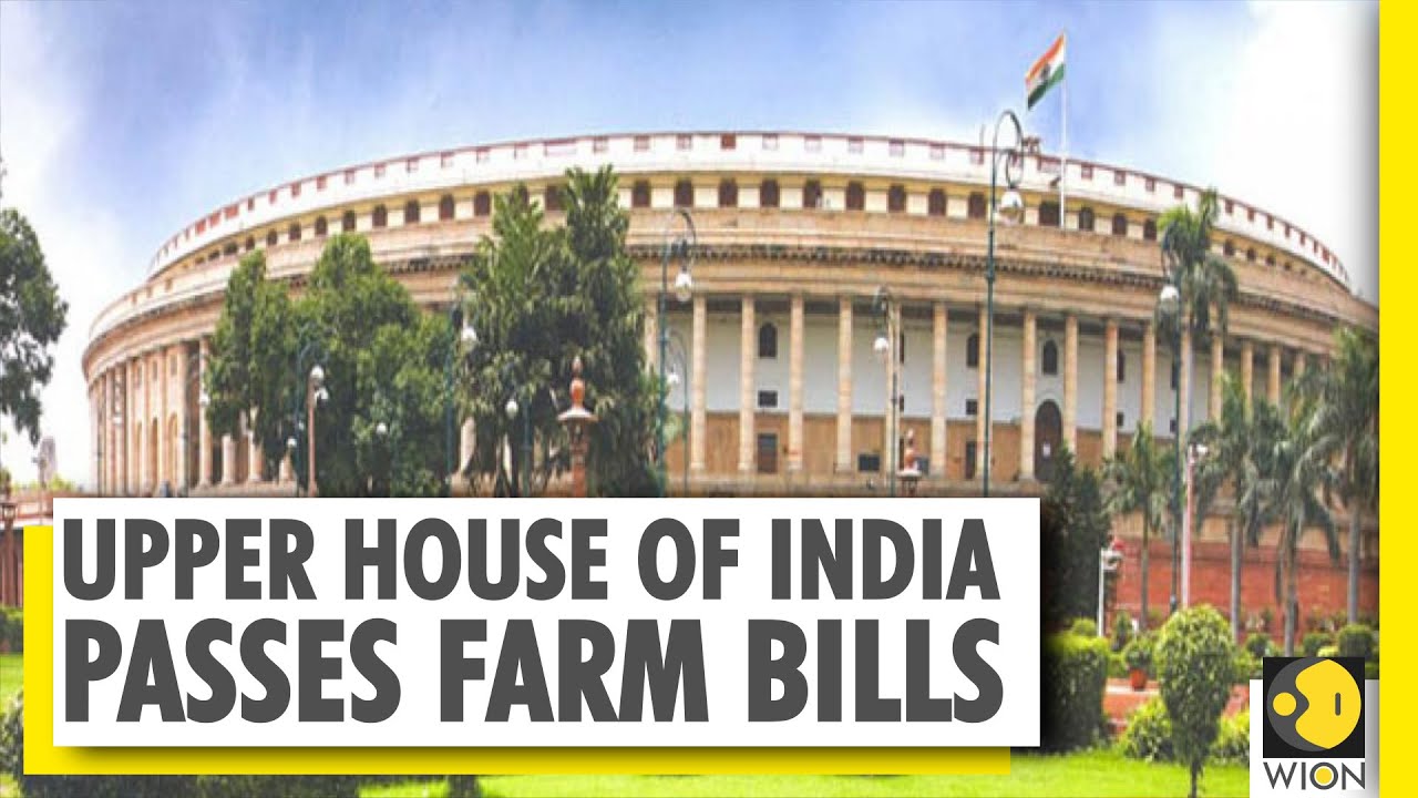 India: Farm Bills passed by voice vote in upper house of Parliament | Rajya Sabha | World News