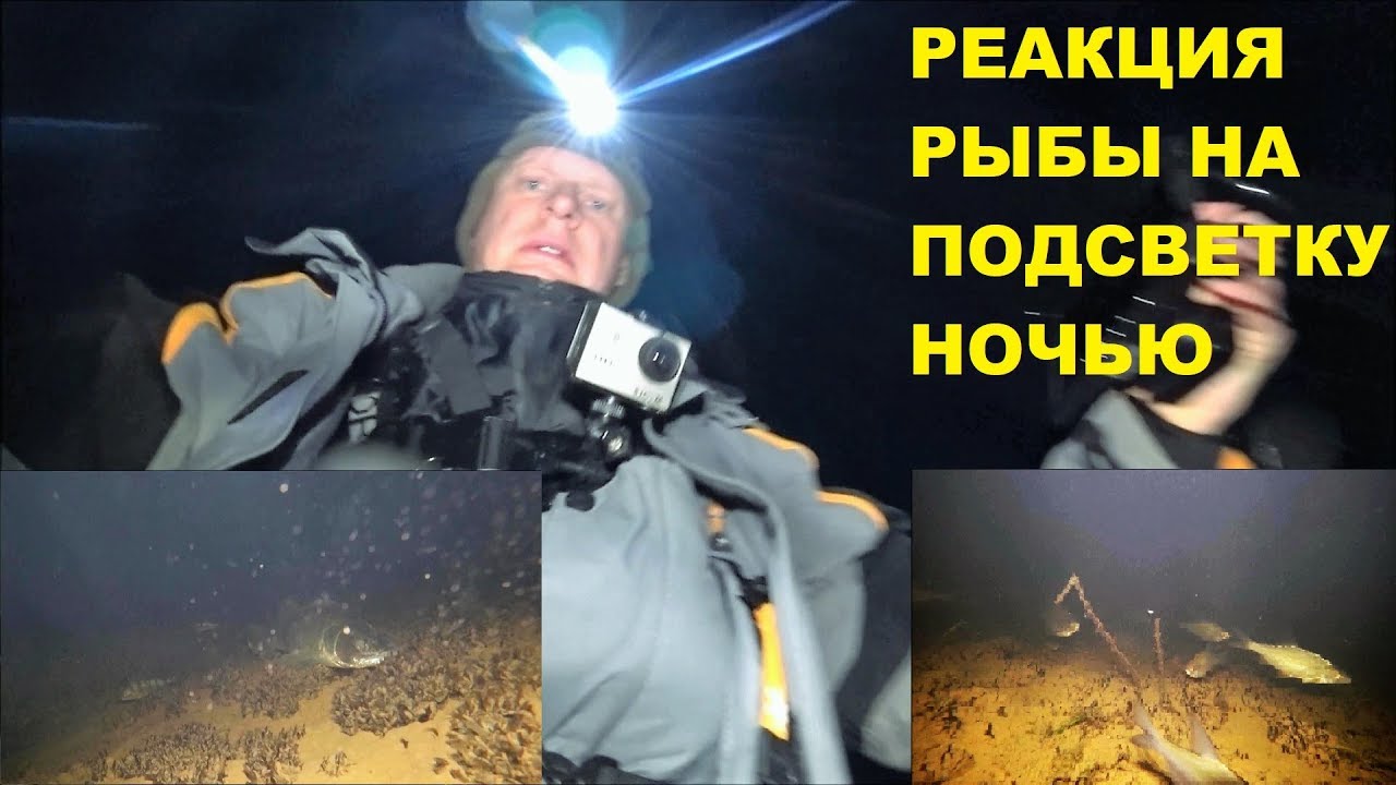 ПОДСВЕТКА ДЛЯ ПОДВОДНОЙ КАМЕРЫ, РЕАКЦИЯ РЫБЫ