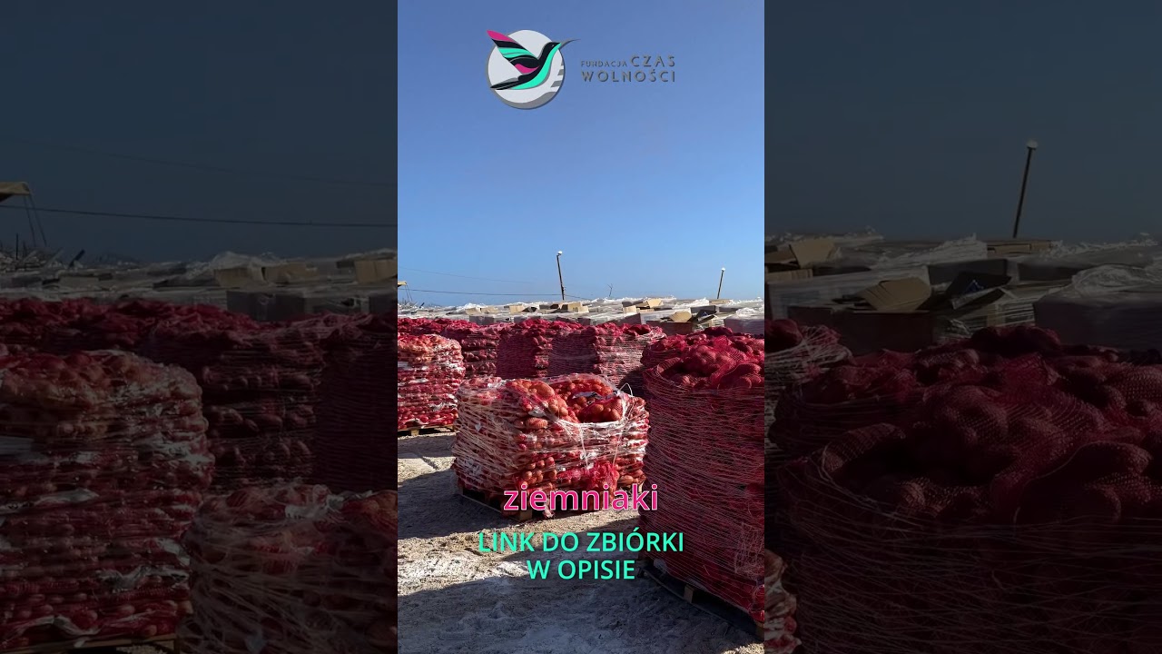 Gaza - Jak wygląda rozdawanie żywności z bazy USA
