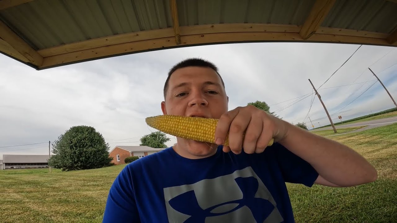 Selling Sweet Corn at Our Dairy Farm's Produce Stand