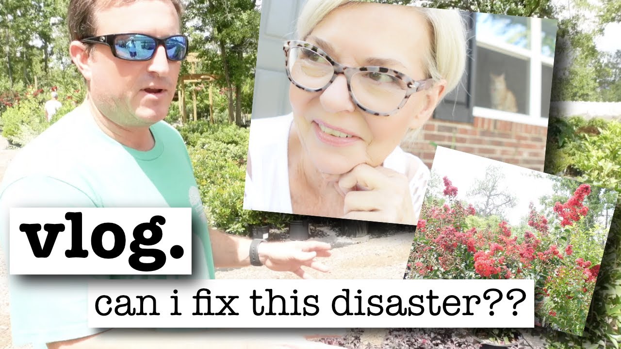Can I Fix This Disaster? Vlog Over 50