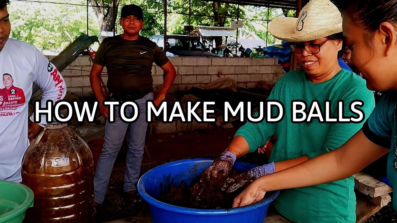 Mud Balls: The Key to Saving an Entire Ecosystem