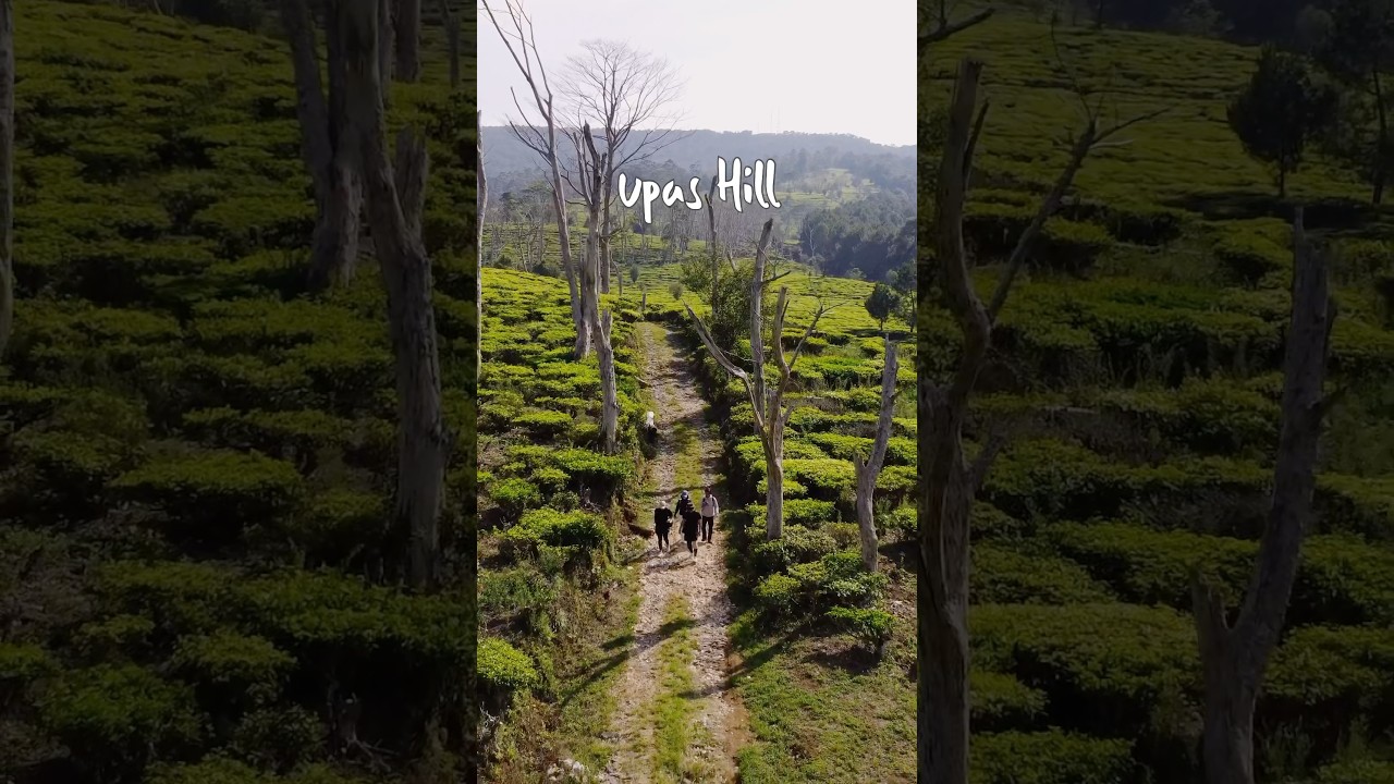 Hiking tipistipis ke upas hill