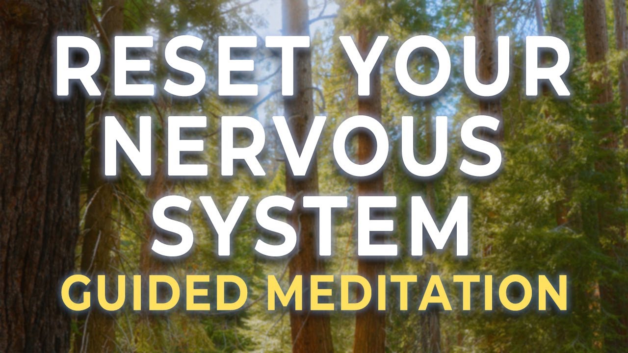 Deep Nervous System Reset Hypnosis | Heal the Gut, Quiet the Mind, Nourish the Soul