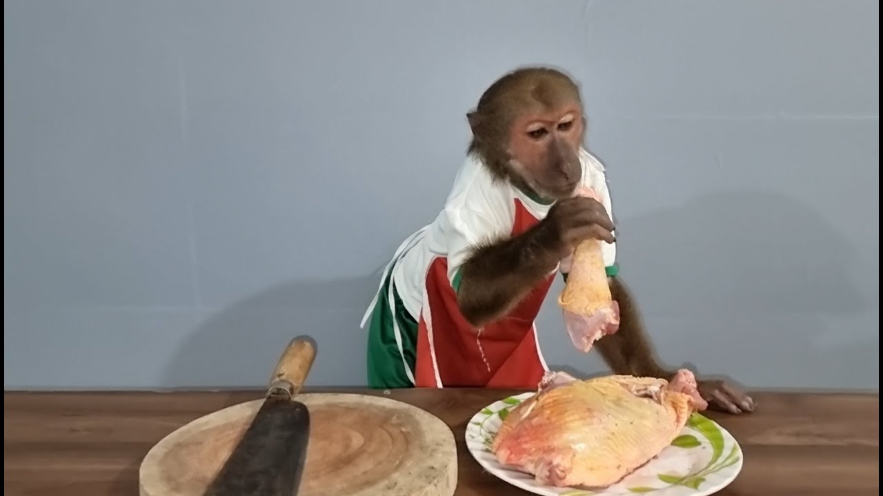 ABU chef makes stewed chicken for sick mom