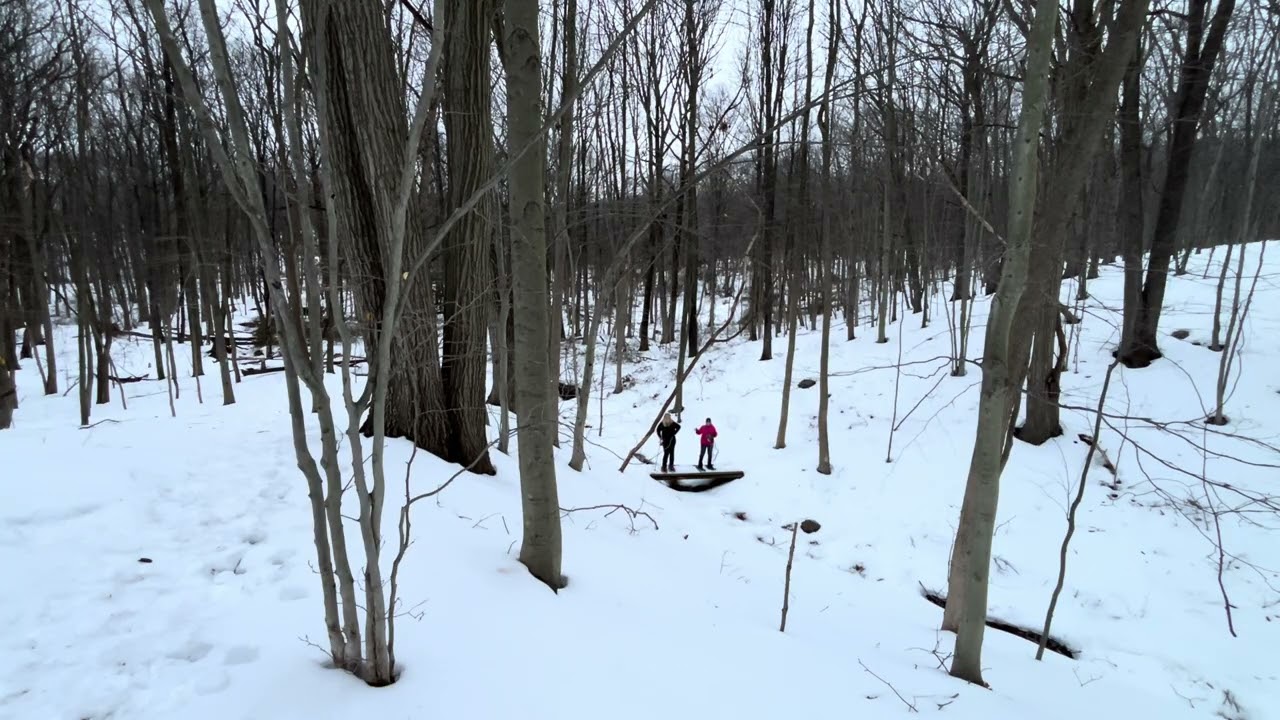 20260215 High Rock Park Staten Island Greenbelt Snowshoeing Bridge in a Ravine