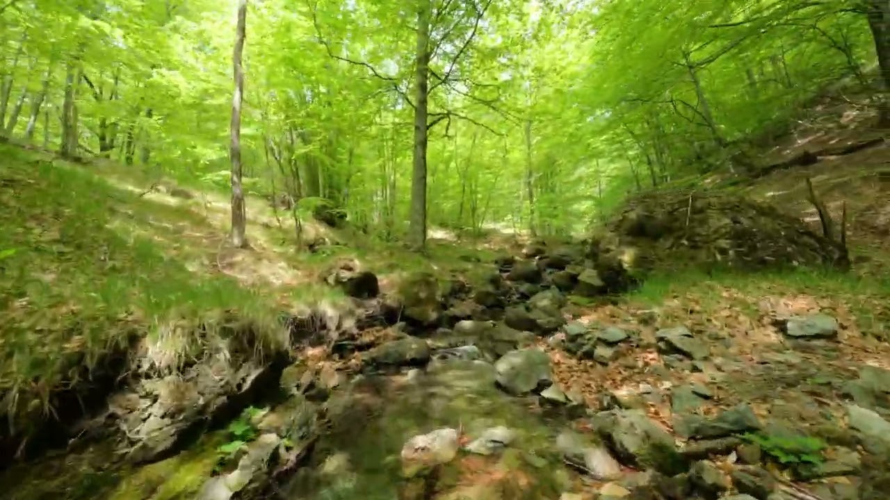 Water stream in the Italian Appenini mountains - Borgo Val di Taro (PR)