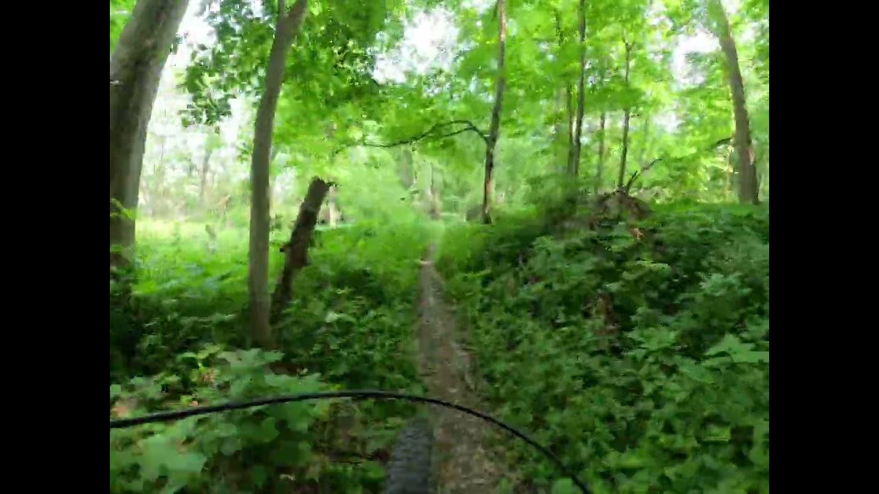 Lowell Park mountain biking