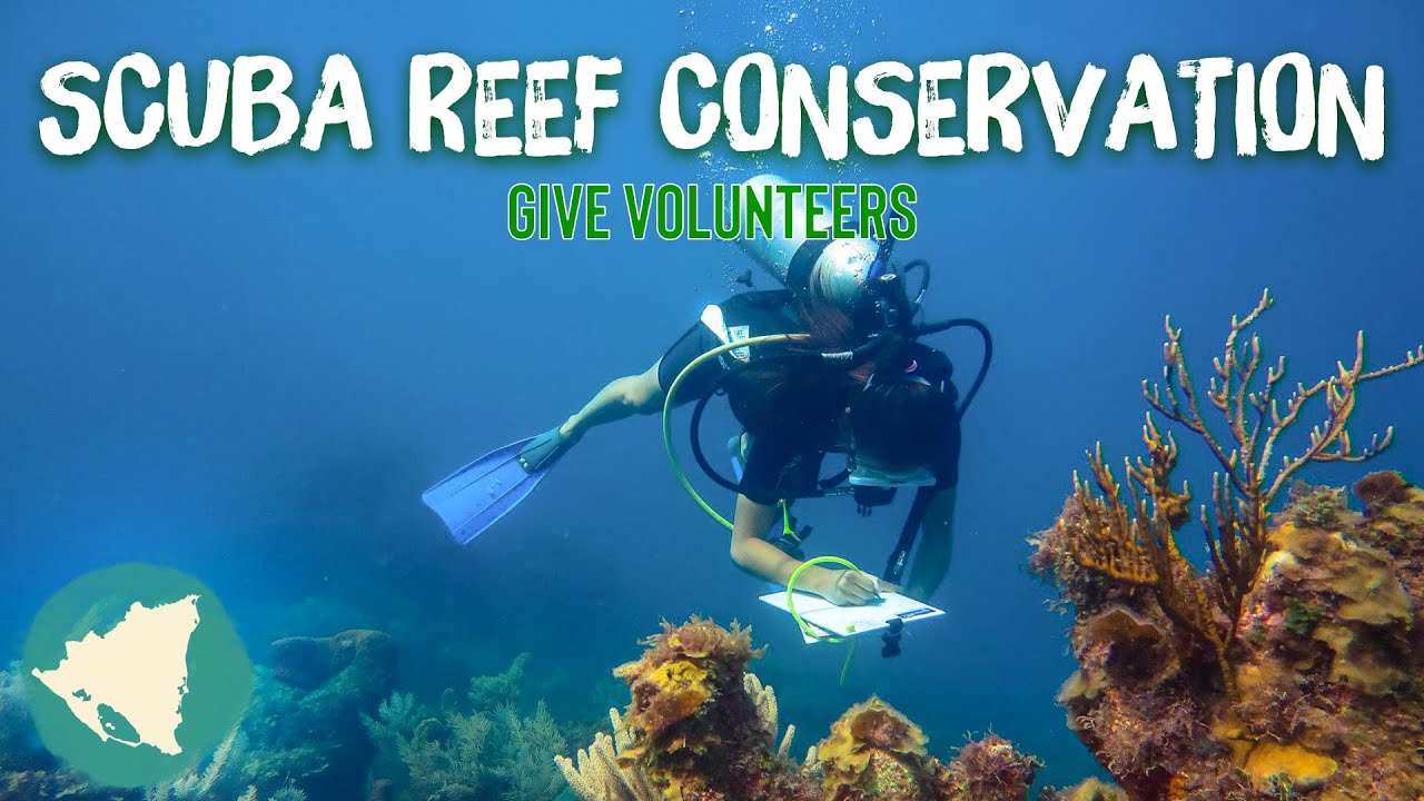 GIVE Caribbean Reef Conservation Add-on
