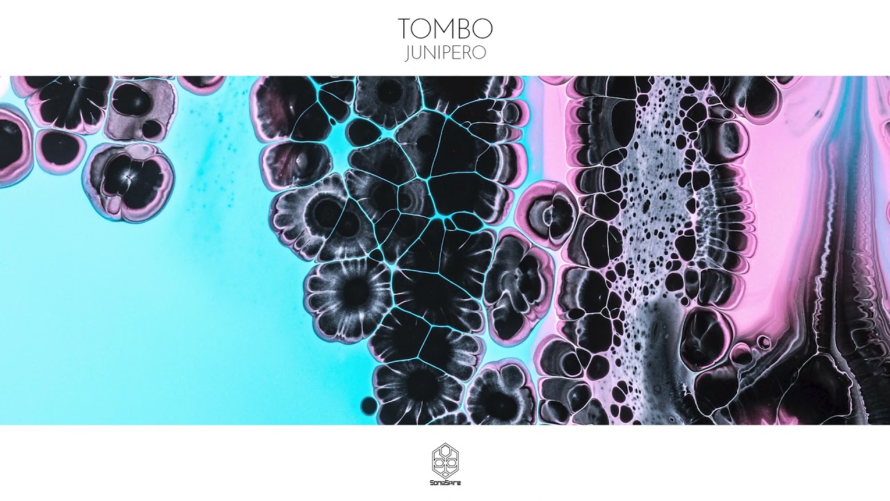 Tombo - Junipero