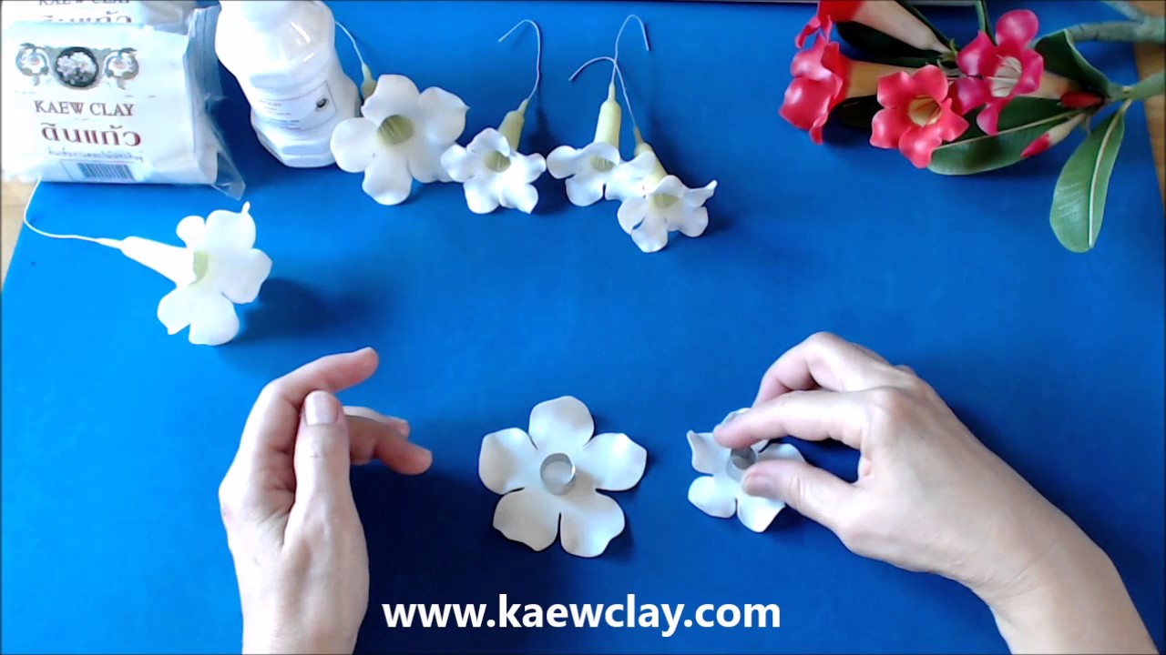 การสอนทำดอกชวนชม How to make Desert Rose with KAEWCLAY
