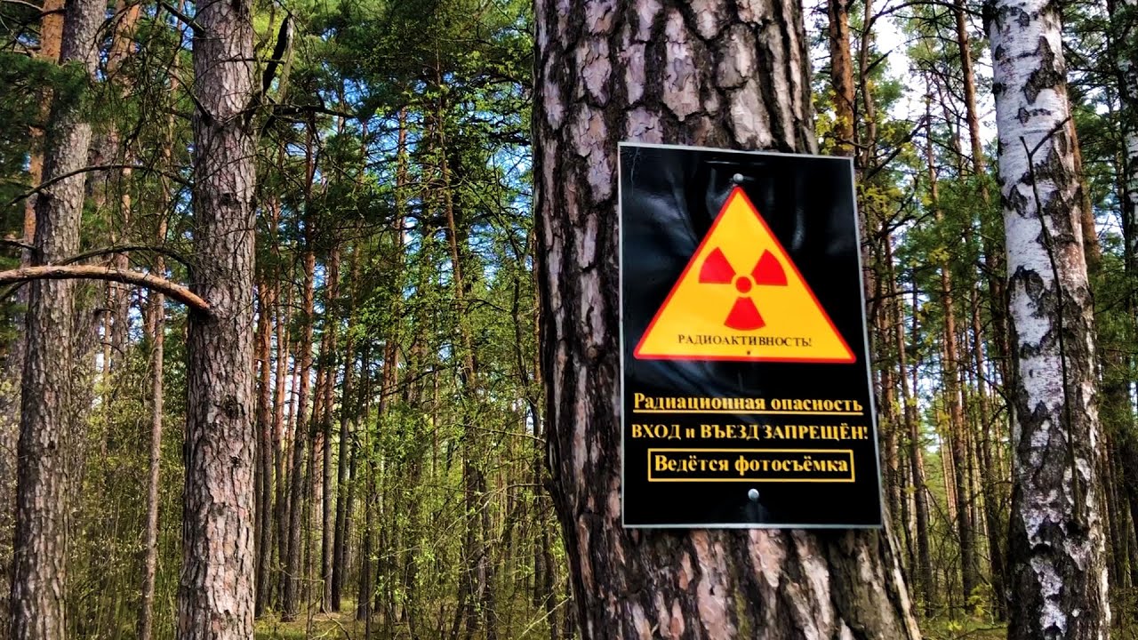 Поход в Зону отселения 2022 (Ветковский район, Гомельская обл)