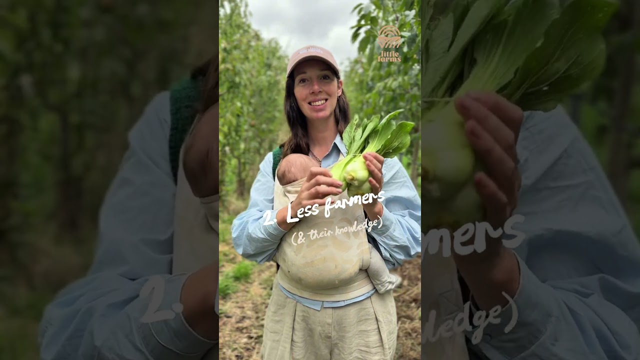 Support your local farms #organicveg #nzfarming #eatlocal