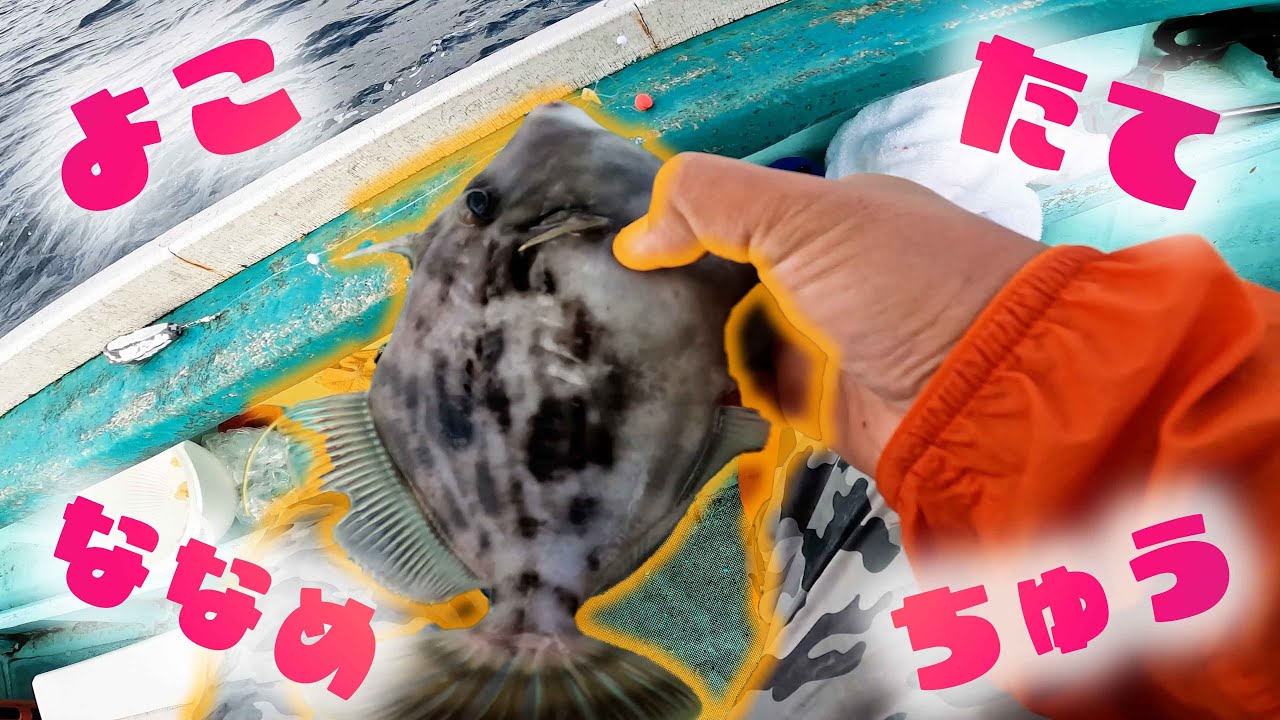 こんな感じで釣ってます【東京湾竹岡沖カワハギ