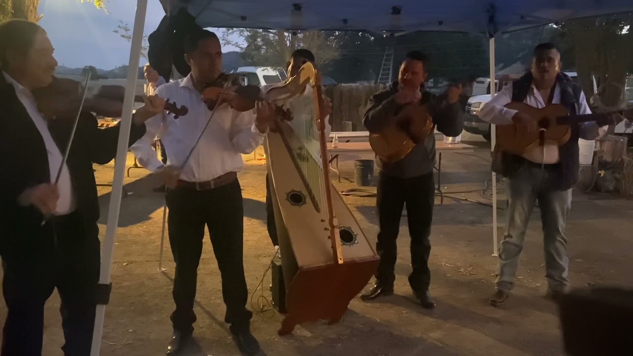 ￼ Felipe del arpa￼  Y los hermanos Mendoza￼                                       2021
