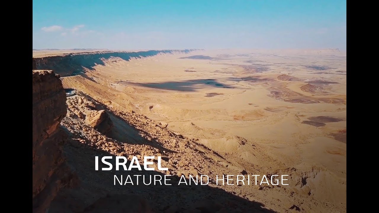 Israel - Nature and Heritage - Wildlife 4K / الحياة البرية في فلسطين