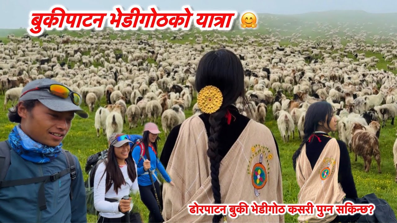 सुन्दर ढोरपाटन,बुकीपाटन भेडीगोठको यात्रा ॥कसरी कती समयमा पुग्न सकिन्छ?Dhorpatan m,Bukipatnजाउॅं ल🤗❤️