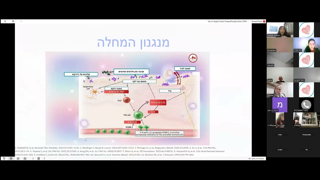 וובינר עם ד