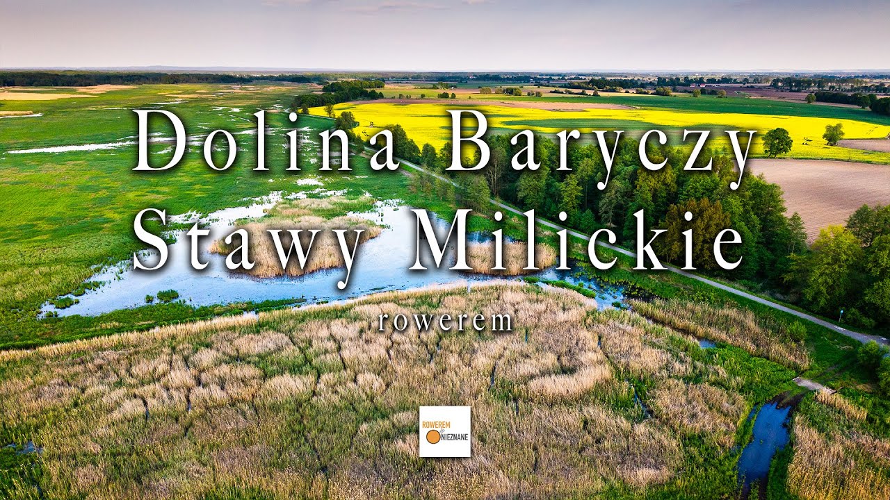 Dolina Baryczy i Stawy Milickie rowerem. Piękna przyroda i świetne miejsce do jazdy rowerem.