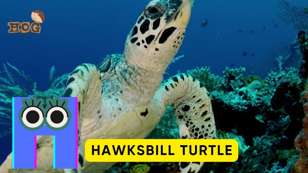 ABC Animals for Kids | Learn Letters with Cute Animal Friends | Endangered Species