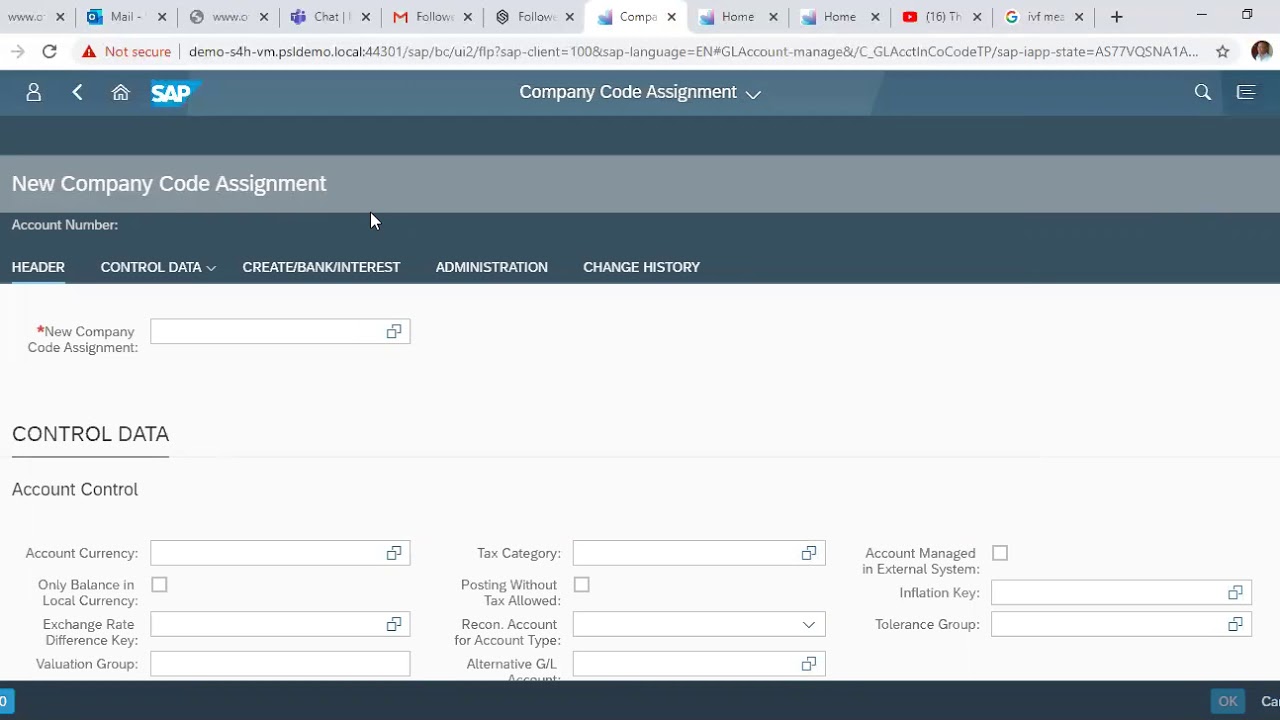 SAP S/4HANA - GL Account Master Data
