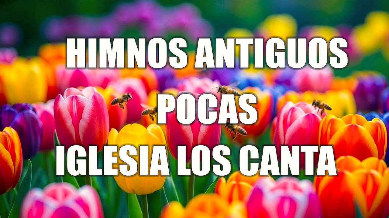 50 Himnos Para Sanar un Corazón Triste 🙏 La Colección de Oro Que Te Acompañará