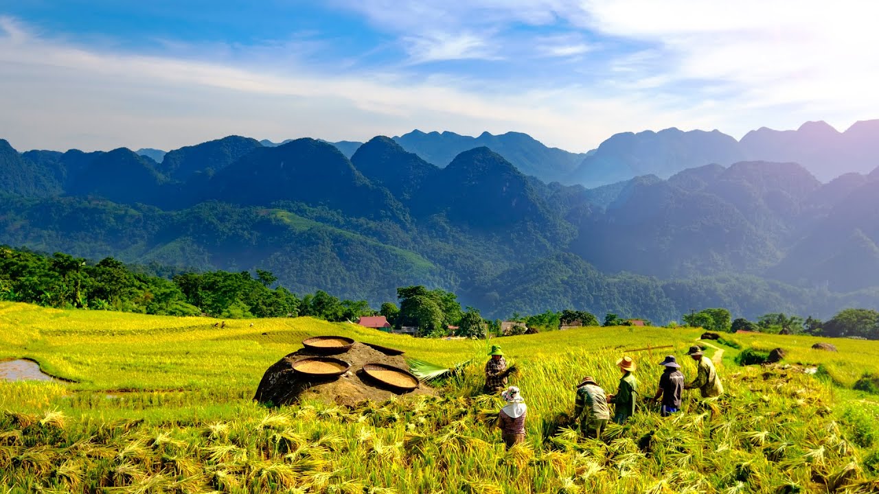 Pu Luong Nature Reserve Overview
