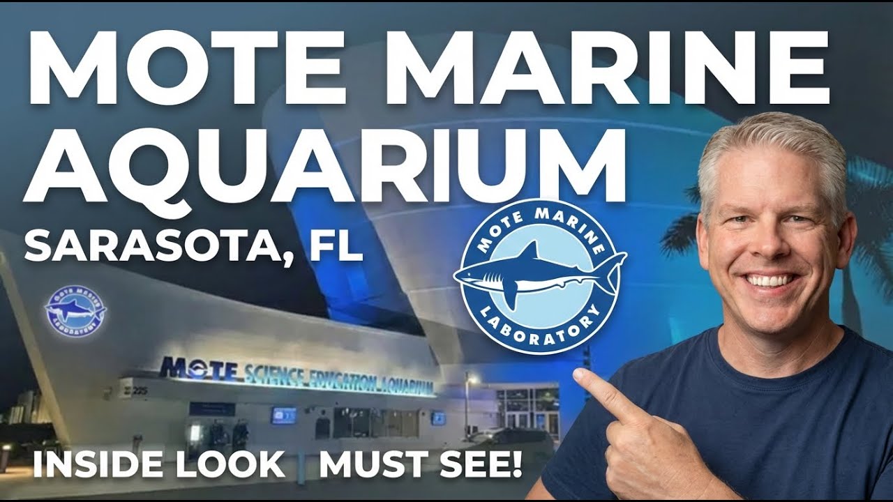 New MOTE SCIENCE EDUCATION AQUARIUM (SEA), What It Means for Sarasota Living | Sarasota Homes Group