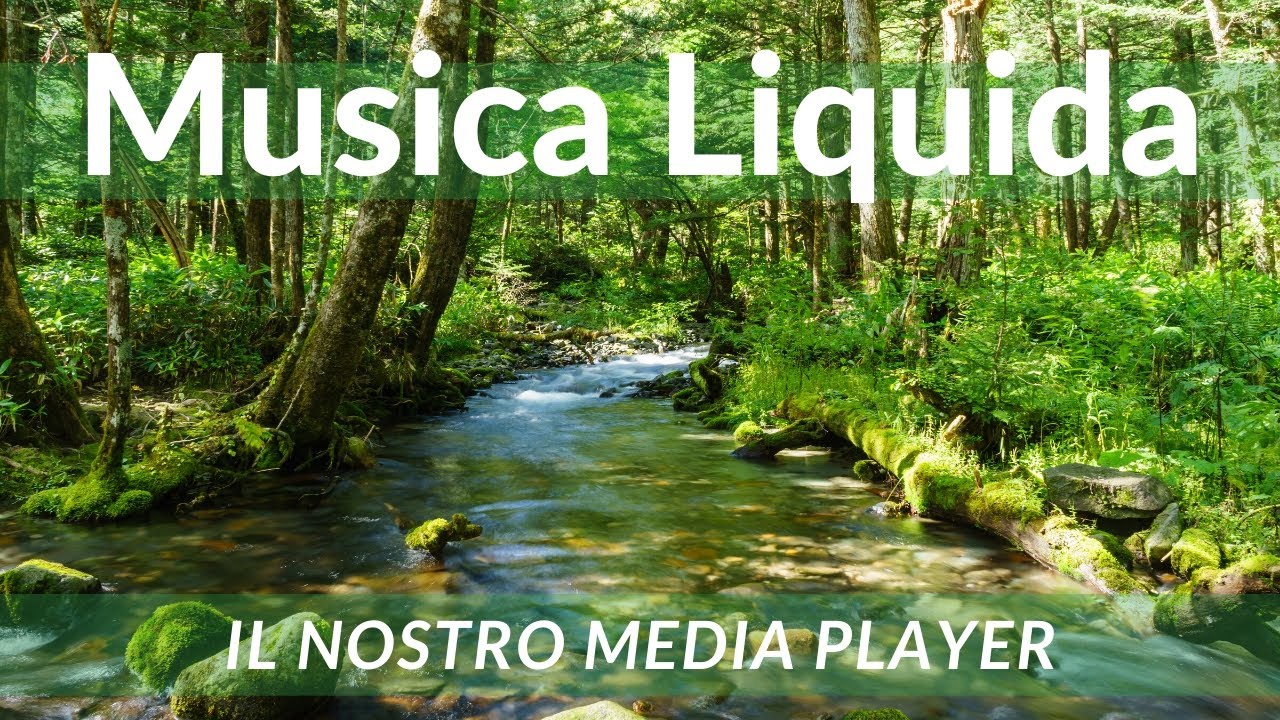 MUSICA LIQUIDA - Il Nostro Media Player!