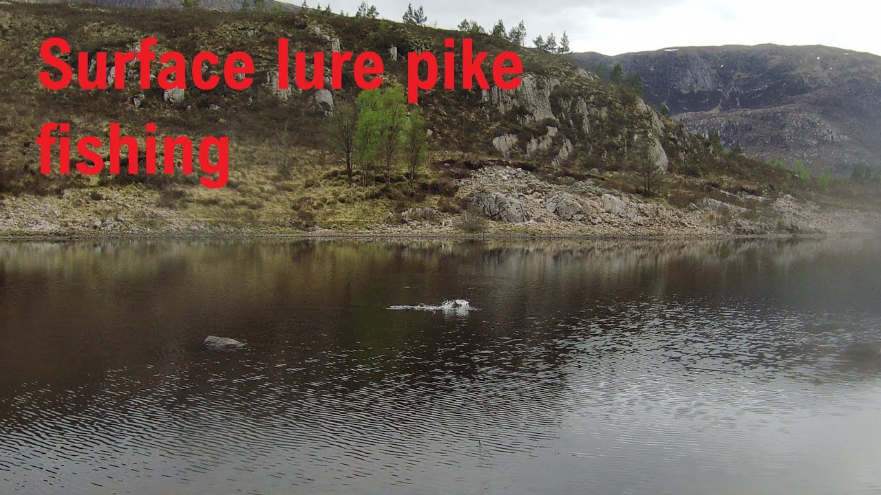 Surface lure pike fishing