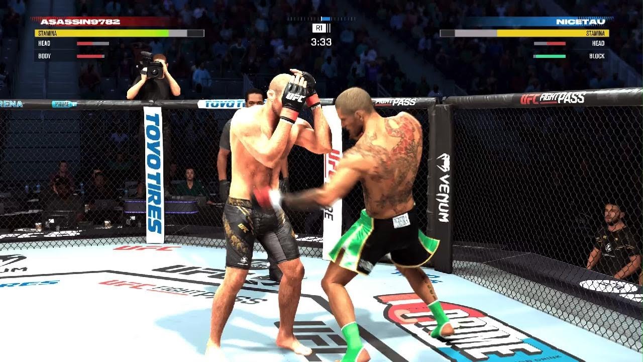 UFC title fight