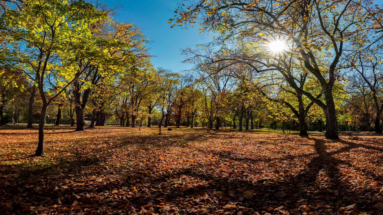 Őszi hangulat / Autumn vibe 4K