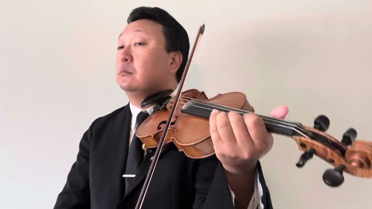Starry Starry Night - Vincent - Violin Cover - Don Maclean (dedicated to the legend Mr. Freddy C.)