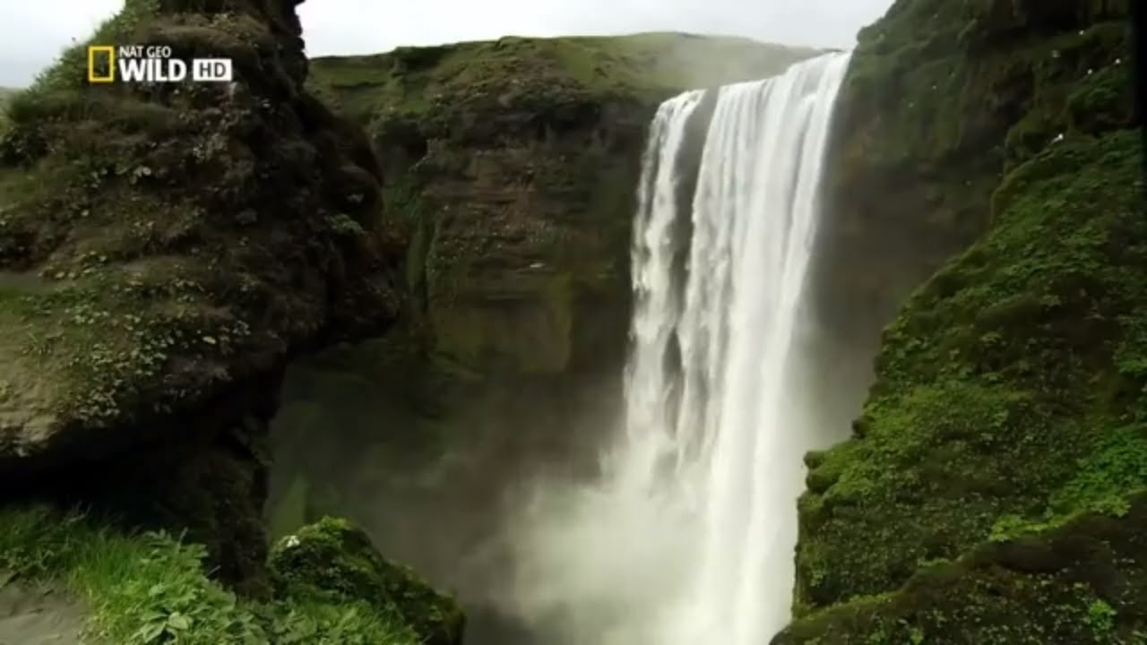 Nat Geo Wild HD Islands  Iceland HD NatureHistory Documentary | Animal Planet Channel