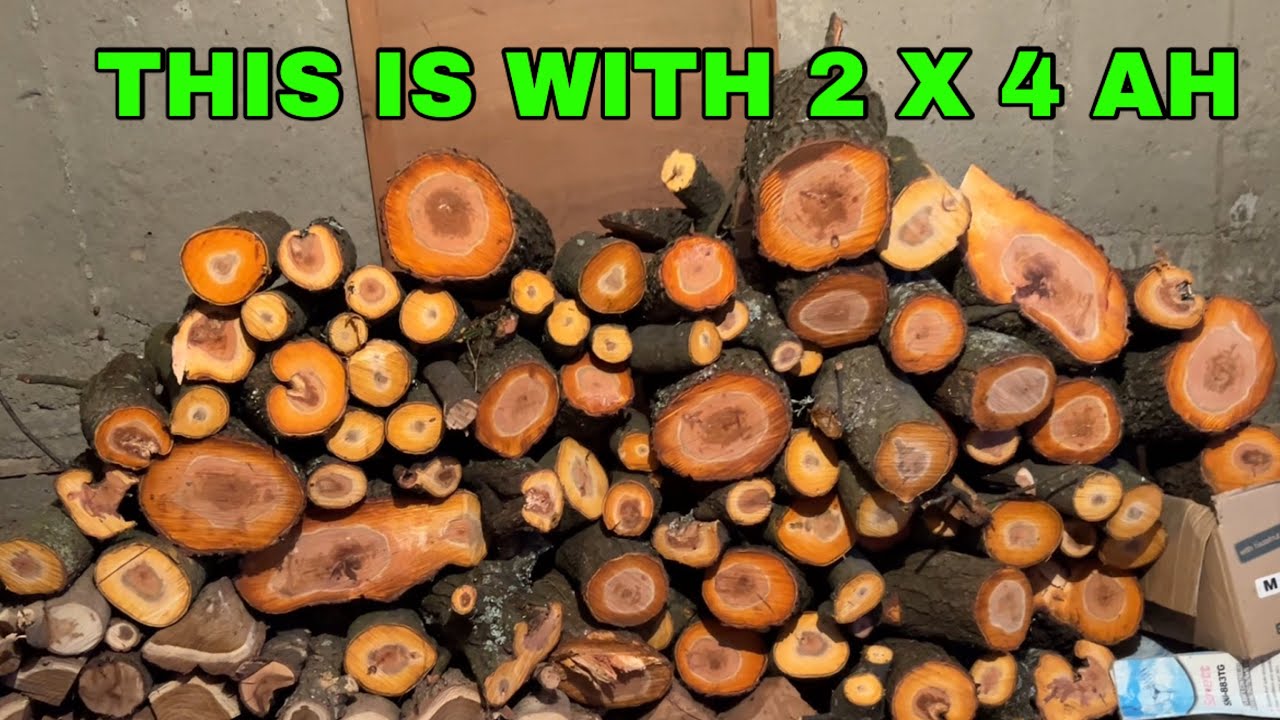 Parkside Lidl 40V chainsaw Performance- How much wood can chop on single charge - QUICK Answer