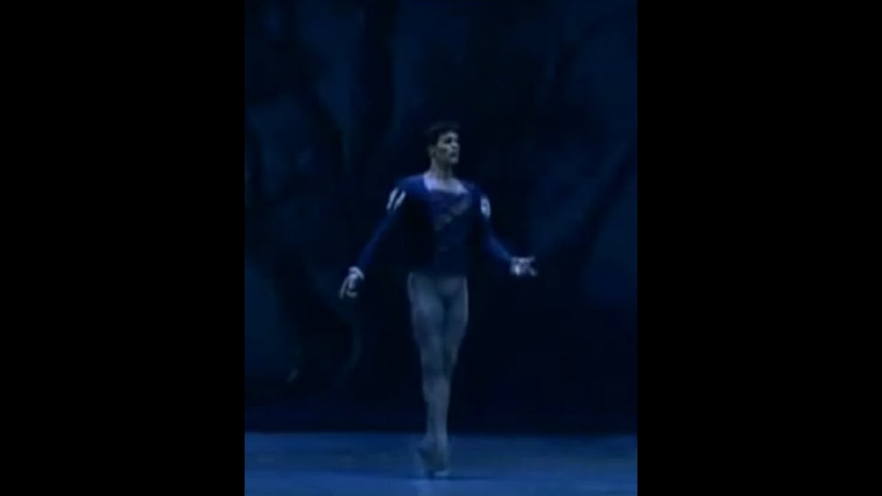 ROBERTO BOLLE ~ Entrechat Six