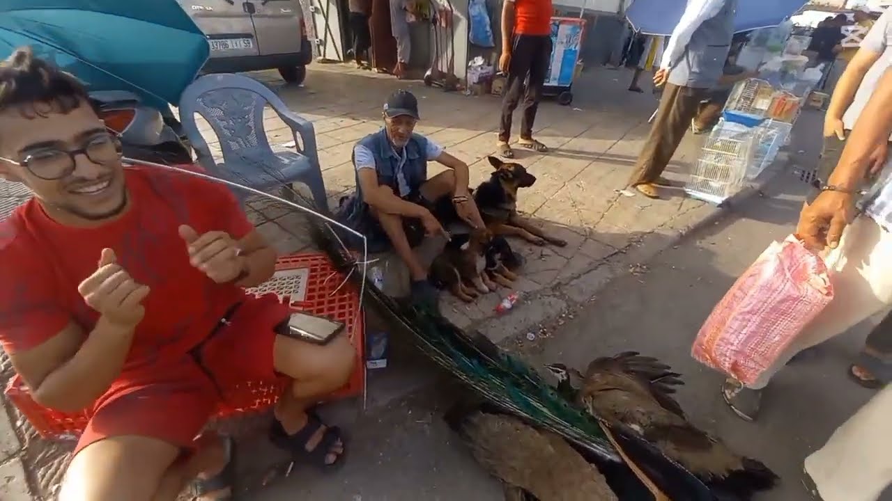 أجواء سوق الصالحين مدينة سلا للتعرف على الأتمنة