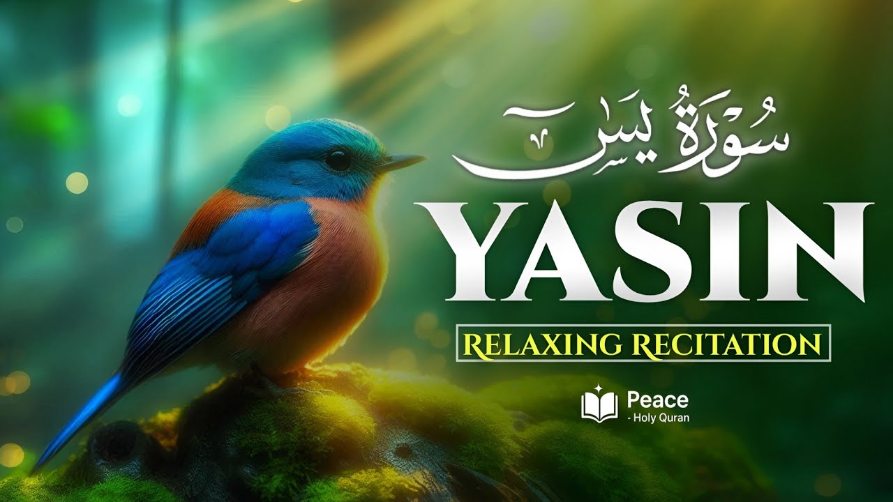 Surah Yasin (سورة يس) | Relaxing Quran Recitation for Peace of Heart & Soul | Peace Holy Quran 