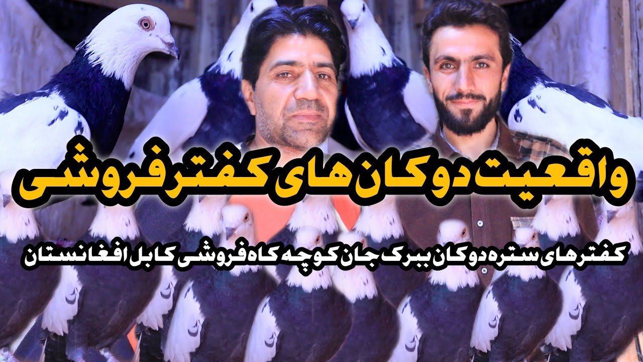 واقعیت دوکان های کفتر فروشی کوچه کاه فروشی Facts about Pigeon Shops in kocha kah froshi Kabul