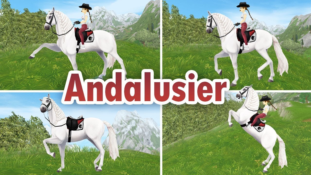 OMG wunderschön! 😍 Andalusier kaufen [SSO]