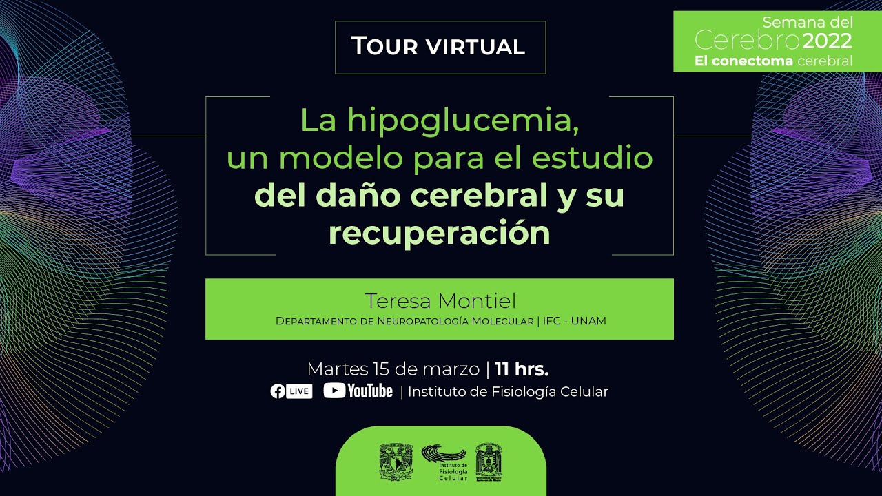 Tour virtual Teresa Montiel: La hipoglucemia, un modelo para el estudio del daño cerebral