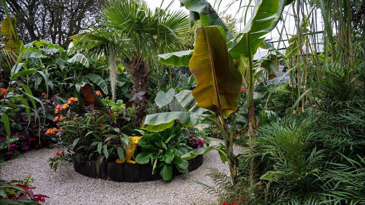 🌴BEAUTIFUL UK TROPICAL GARDEN TOUR 🌴 #tropicalgarden #gardentour #garden #plants