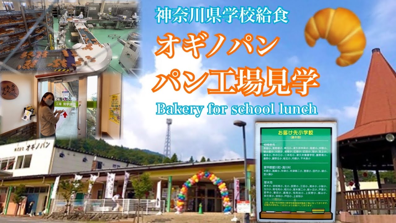 [工場見学] 神奈川県の給食パン オギノパン 🥐 Japanese bakery for school lunch #MoCA136