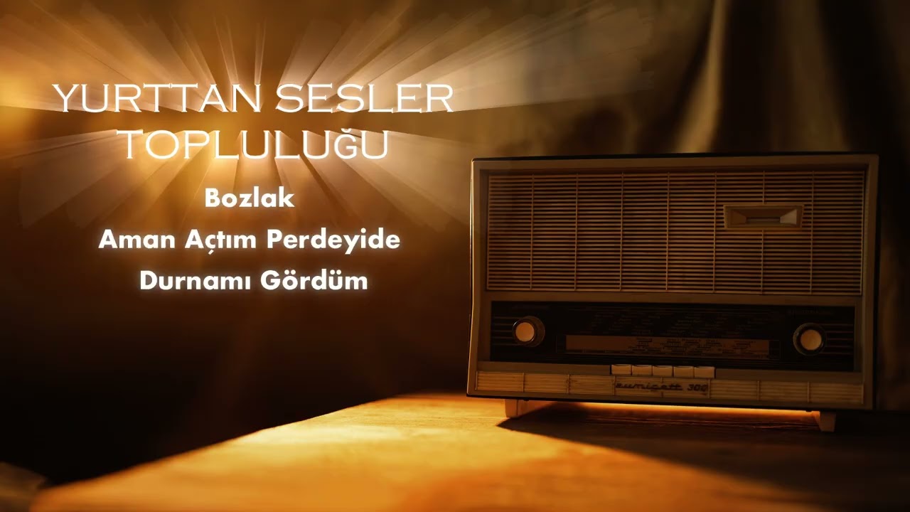 RADYO TÜRKÜLERİ 23