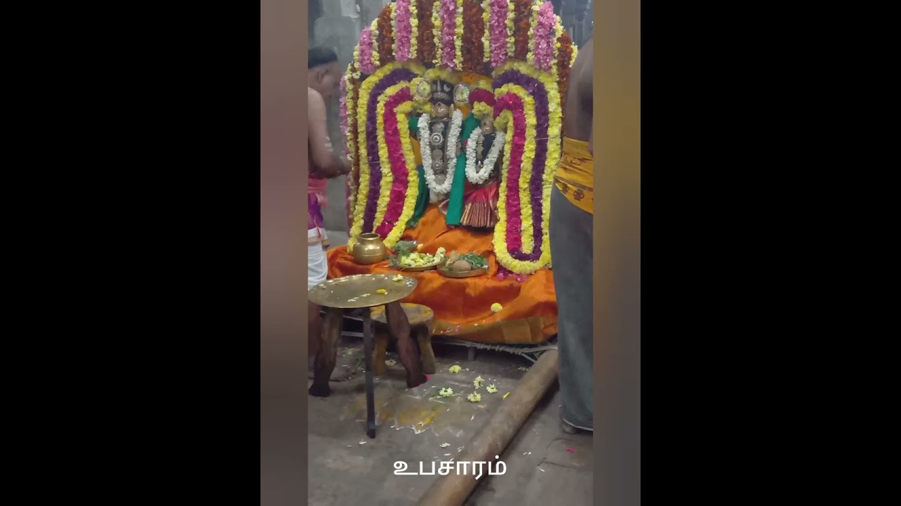 திருவாவடுதுறை கோமுக்தீஸ்வரர் கோவில் ப்ரமோற்சவம் முதல் நாள் மஞ்சம் 16.1.2026