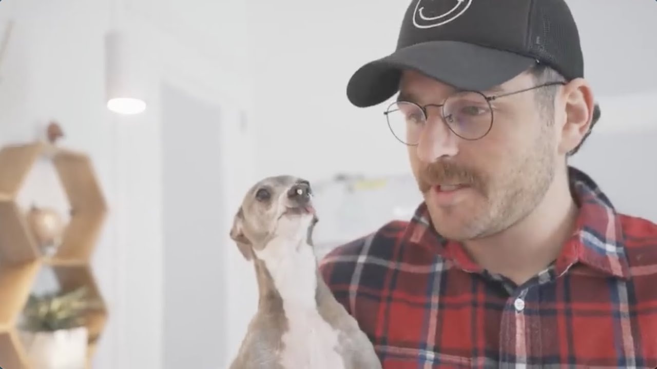 JnJ being good dog parents for 37 minutes straight