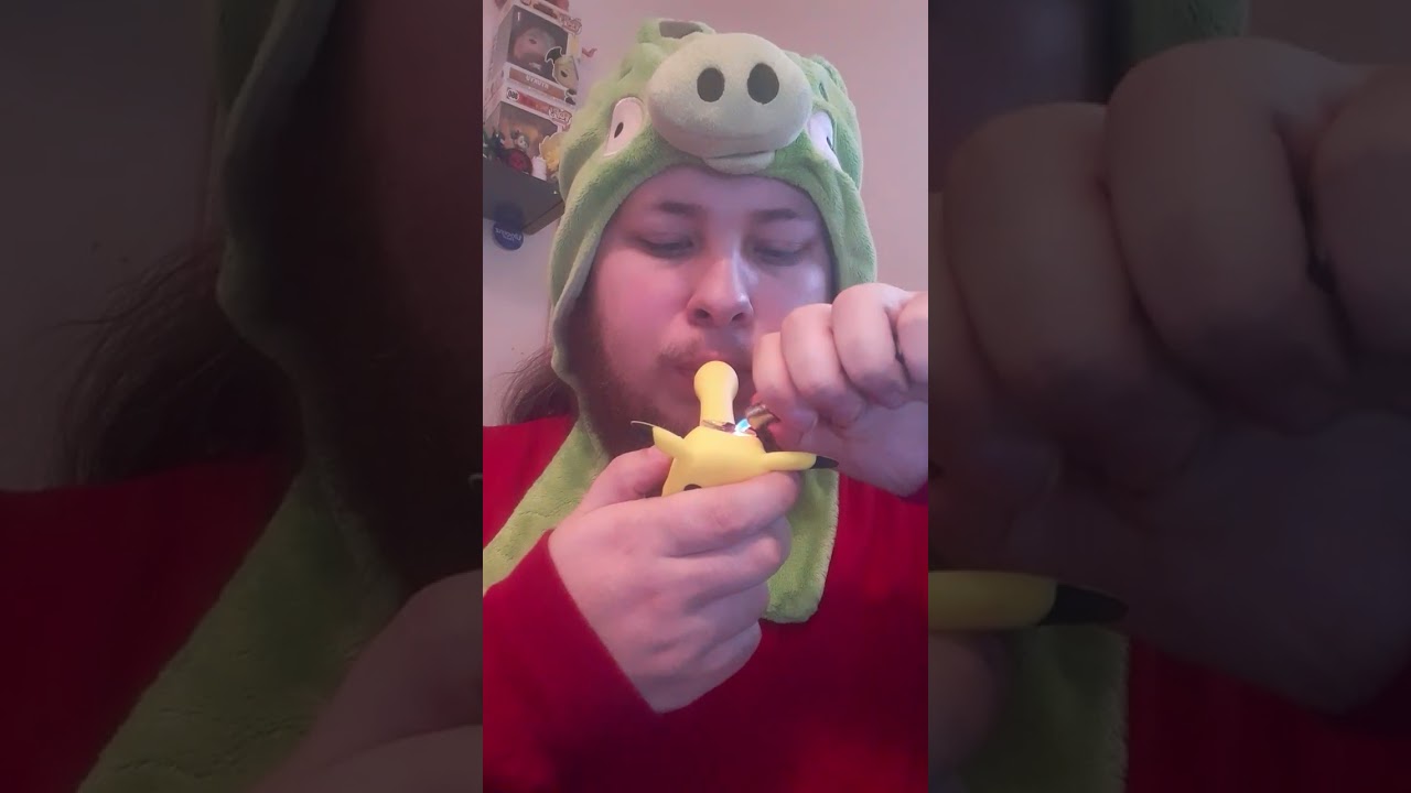 Bloomz Finest/binoid HHC Infused Apple Fritter hand trimmed lab tested less then 0.3% Delta 9 THC